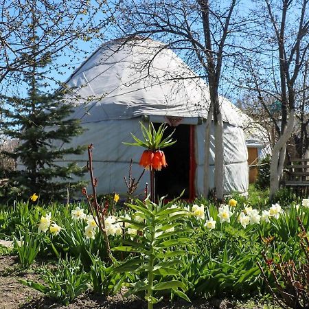 Karakol Yurt Lodge Exterior foto